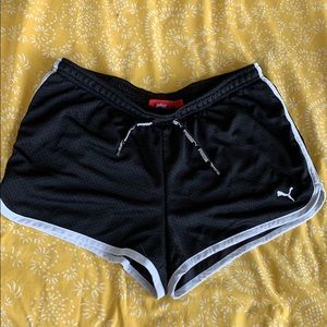 NEW Puma Gym Shorts